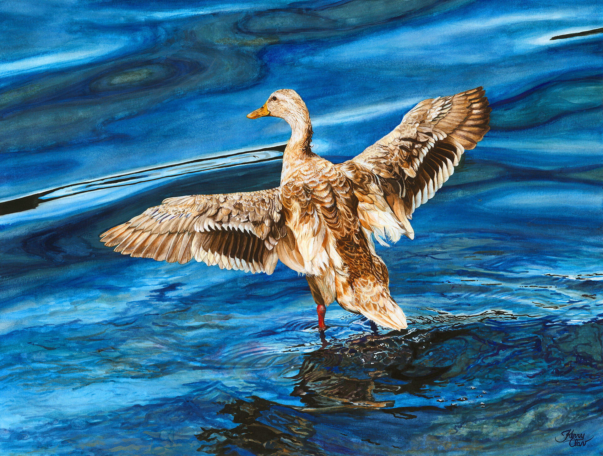 Blonde Mallard At Lake Ballinger in July (Giclée)