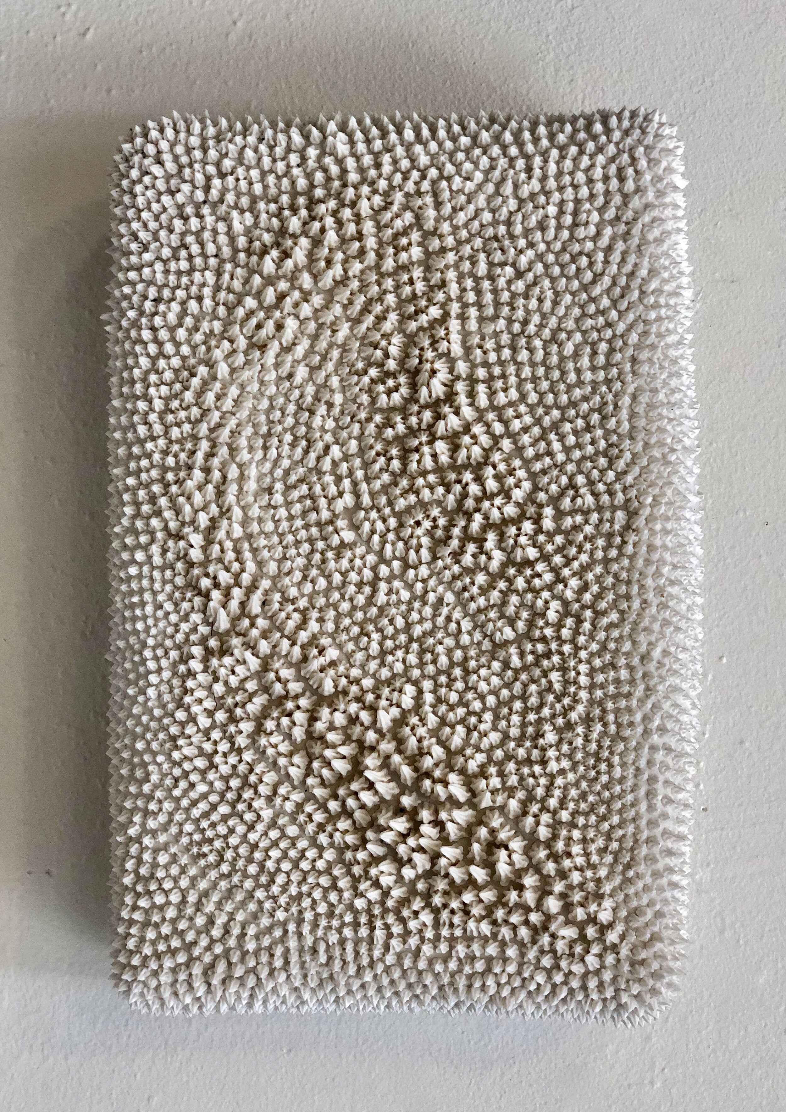 Spiny White Wall Pillow