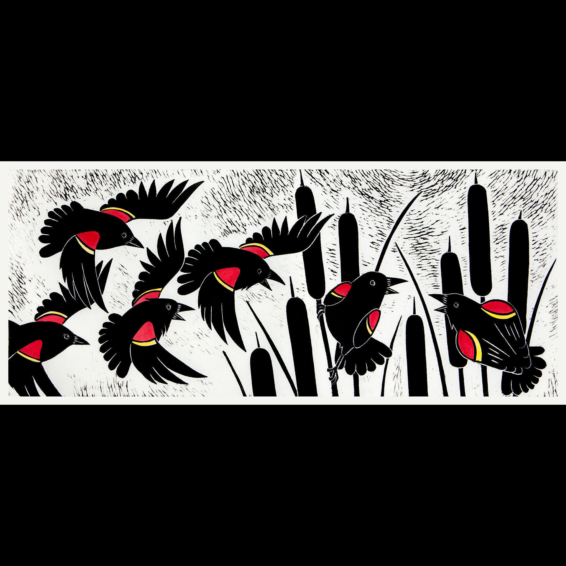 Raucous Red Winged Blackbirds