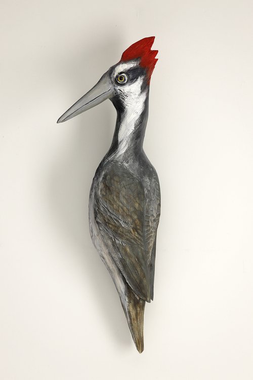 Stan Peterson - Pileated Woodpecker.jpg