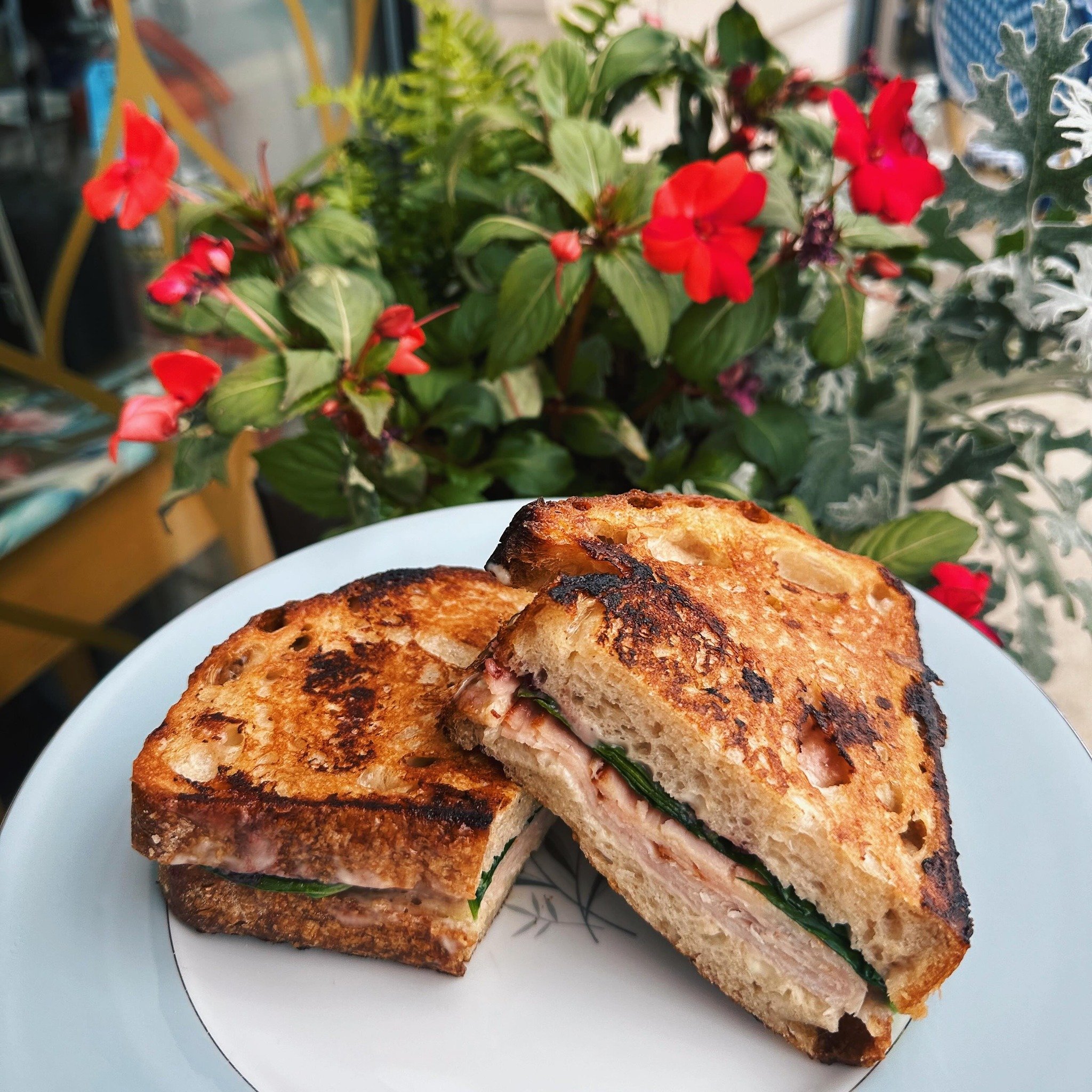 Happy Wednesday 🩷🌥️

Perfect gloomy day to hang in our cafe and try our Smoked Turkey &amp; Brie 😉

Made with our favorite Nueske&rsquo;s smoked turkey, warm brie spread, and fresh Door County cherry preserves🍒

Side note: make sure you plant you