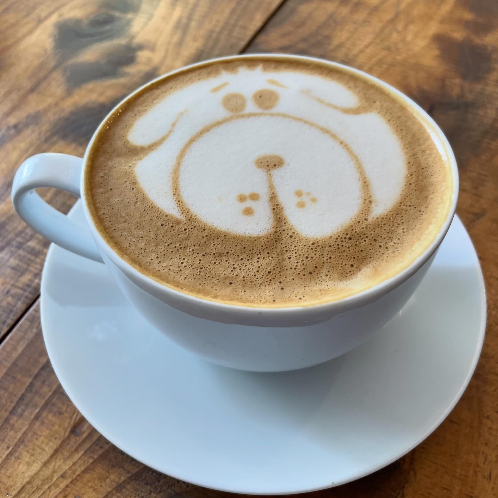Your coffee is waiting! We can bearly 🐻 wait to see you! Come enjoy a latte on our patio 💙 #downtownarlingtonheights #arlingtonalfresco #summertime #latteart #takeittotheheights #blulovesyou