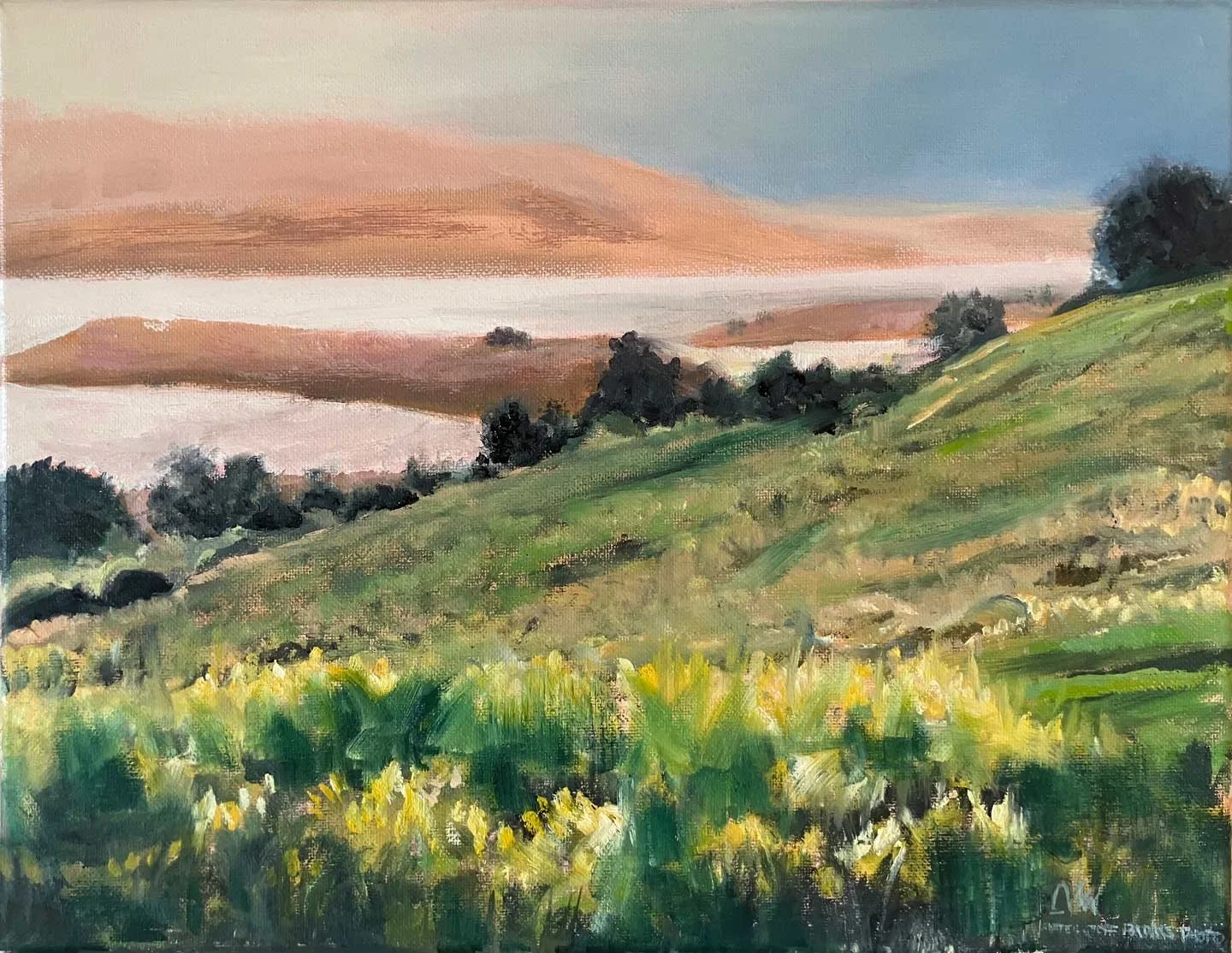 Point Reyes Mystic, 11 x 14 inches, oil on canvas