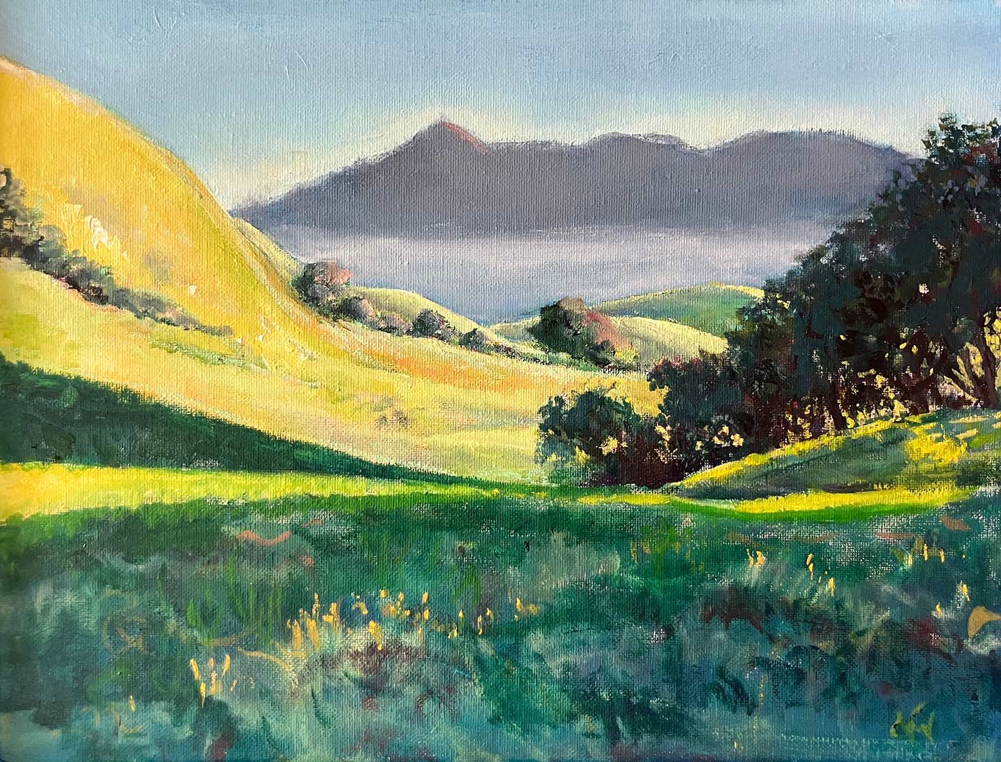 Up and Up, 11 x 14 inches, oil on canvas