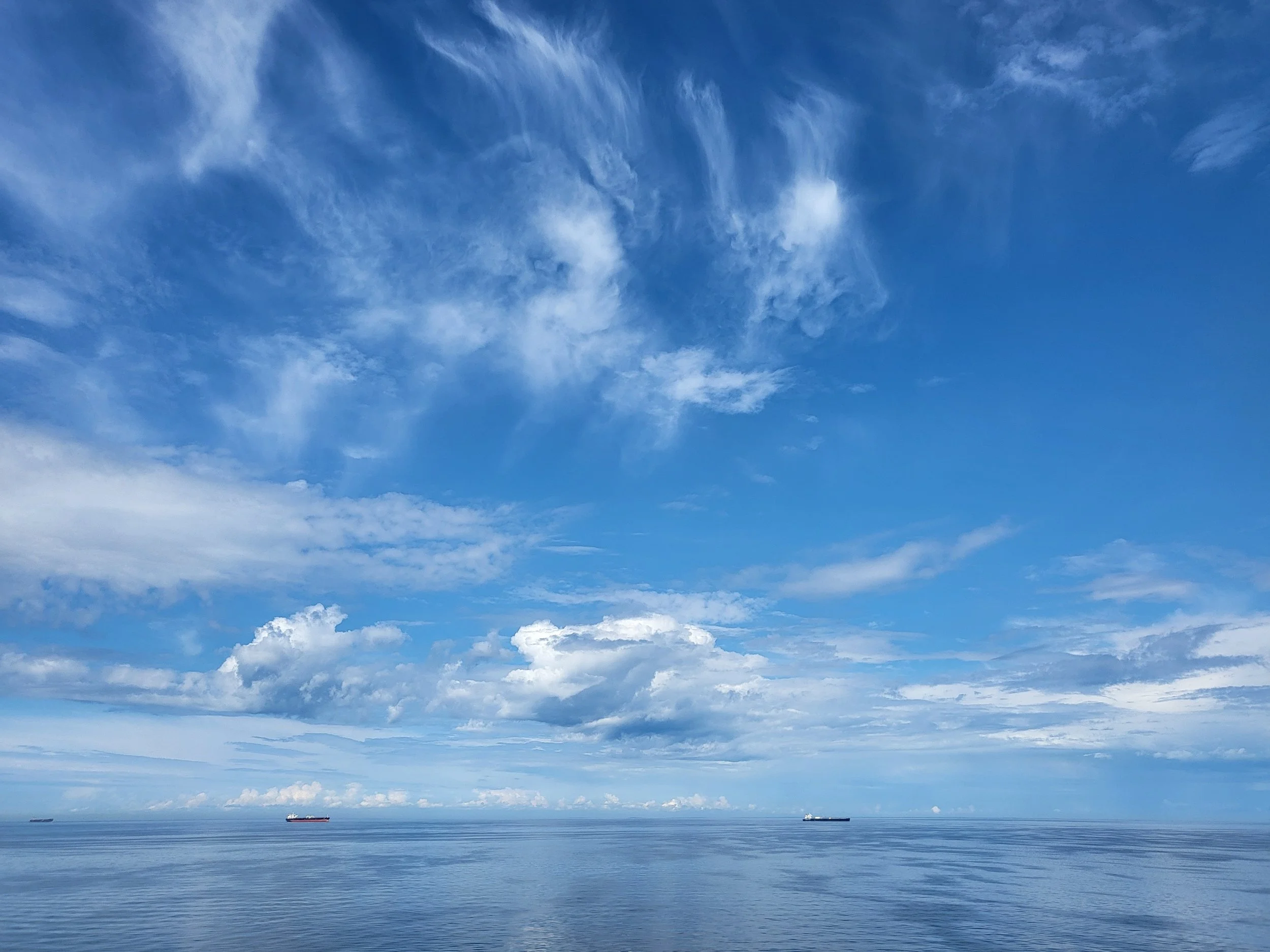7d905c7d-6a78-4ac9-9b27-03c9381279b1-1_all_10722.jpg