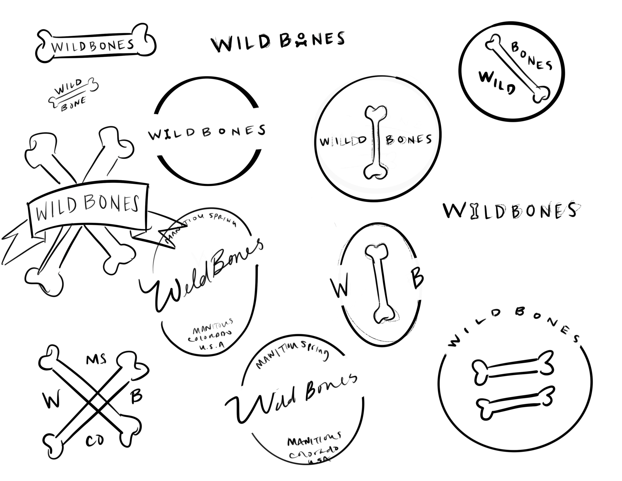 Untitled_Artwork 8.png