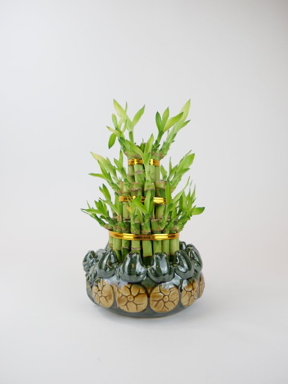 Square Glass Vase 3 With 5 Lucky Bamboo Stalks