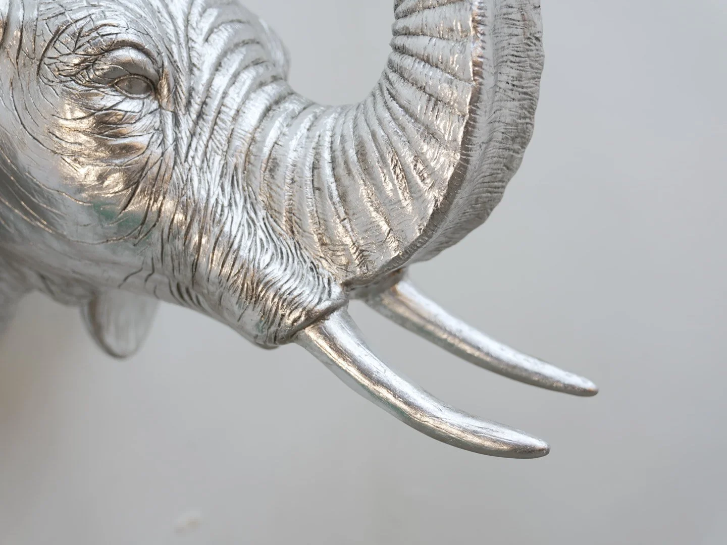 Photo Feb 12 2026, 6 18 58 PM.jpg