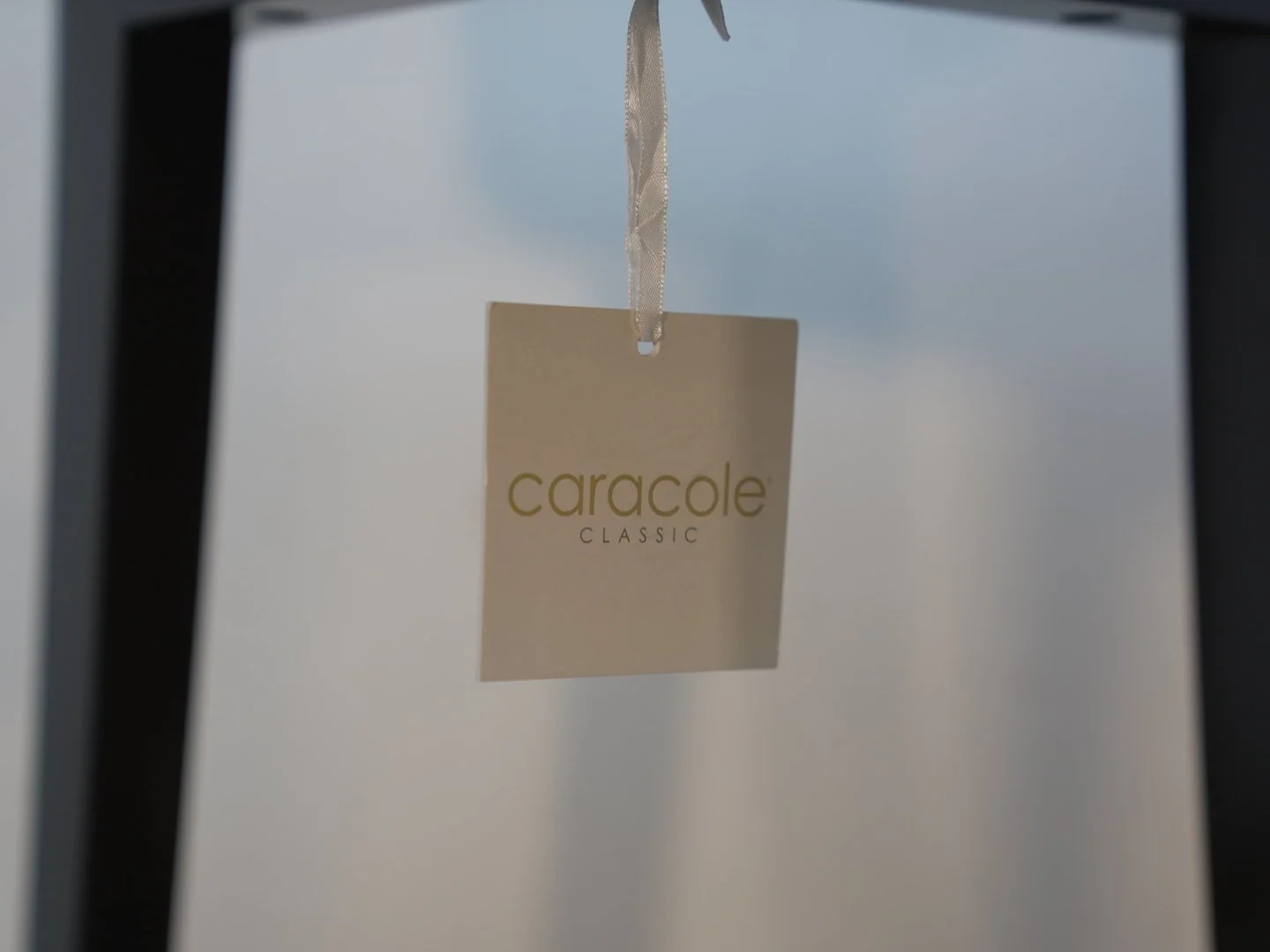 Photo Jan 23 2026, 6 08 07 PM.jpg