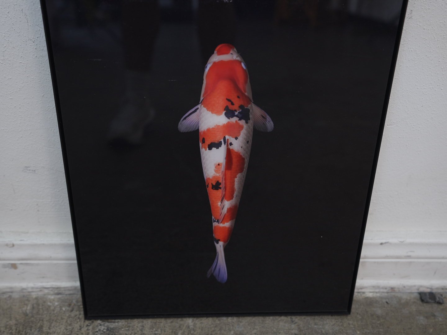 Photo Apr 23 2026, 4 25 56 PM.jpg