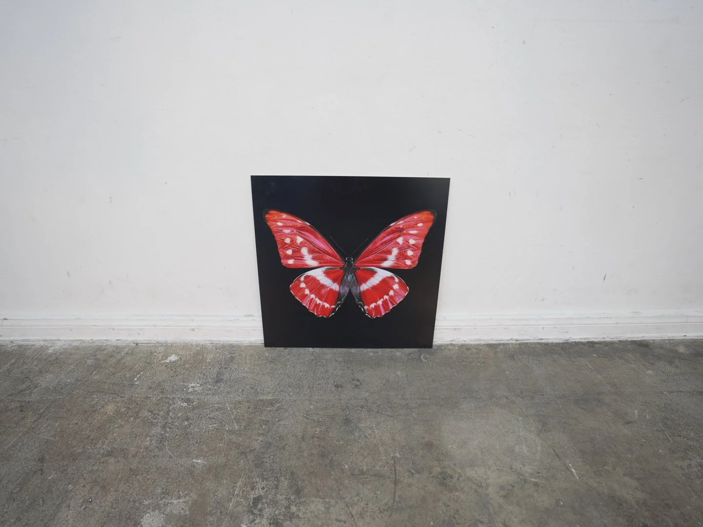 Photo Apr 23 2026, 12 36 40 PM.jpg