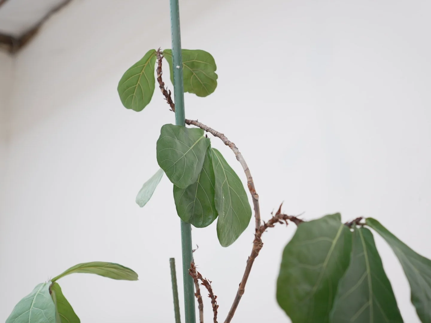 Photo Feb 06 2026, 5 39 45 PM.jpg