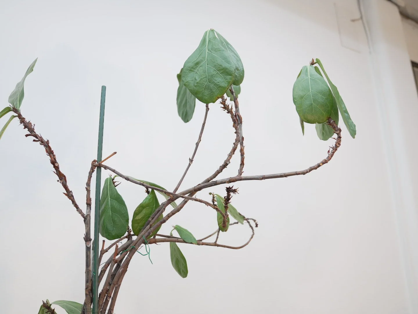 Photo Feb 06 2026, 5 45 11 PM.jpg