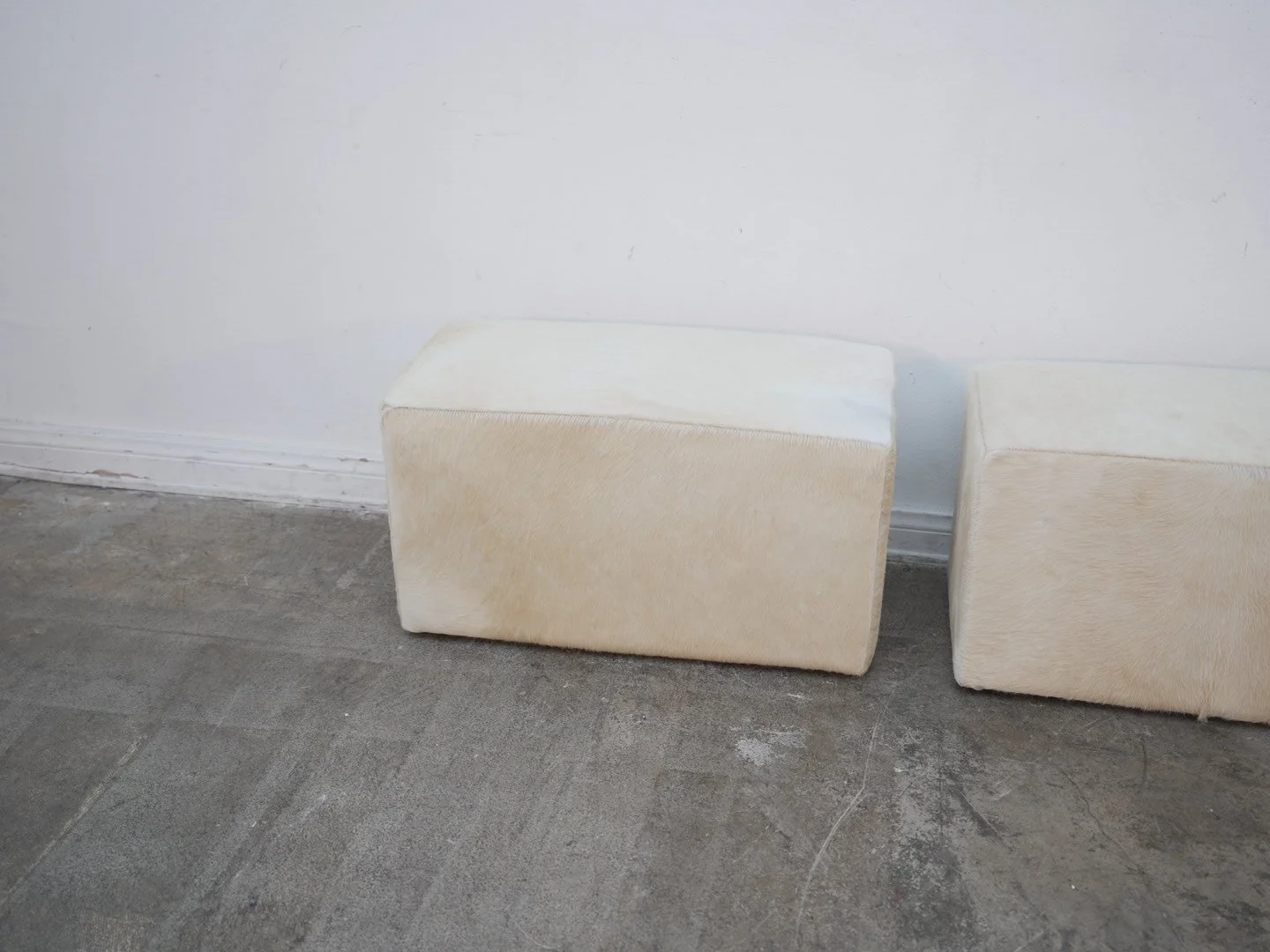 Photo Apr 21 2026, 1 35 19 PM.jpg