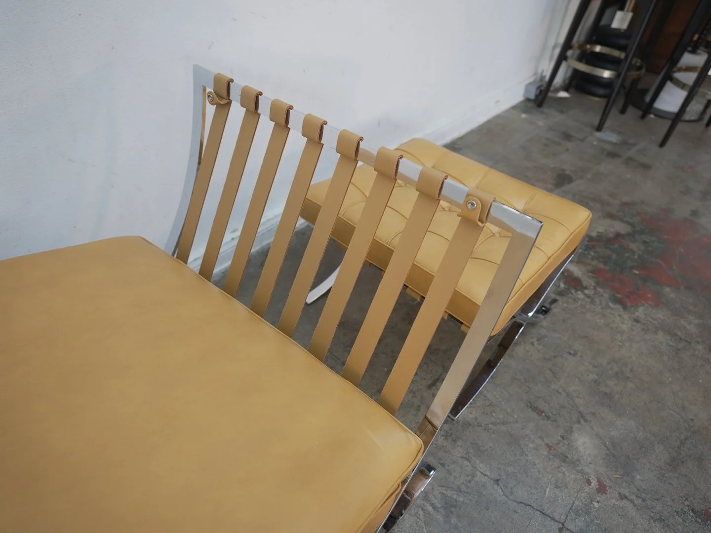 Photo Apr 21 2026, 1 07 44 PM.jpg