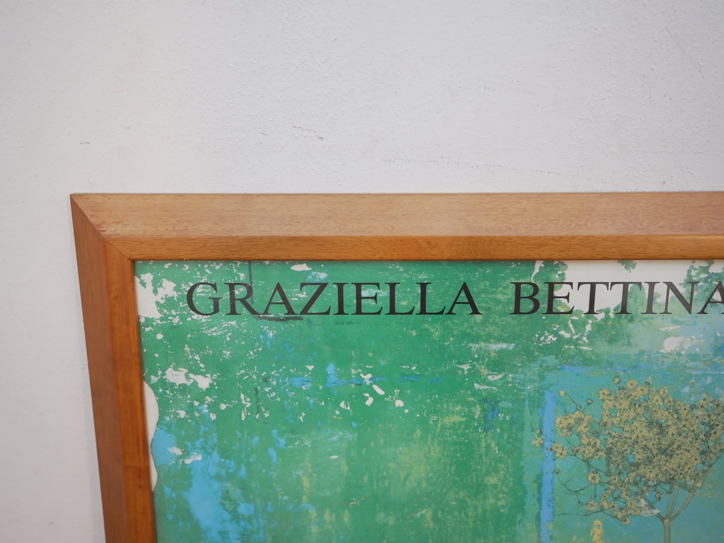 Photo Apr 23 2026, 3 45 03 PM.jpg