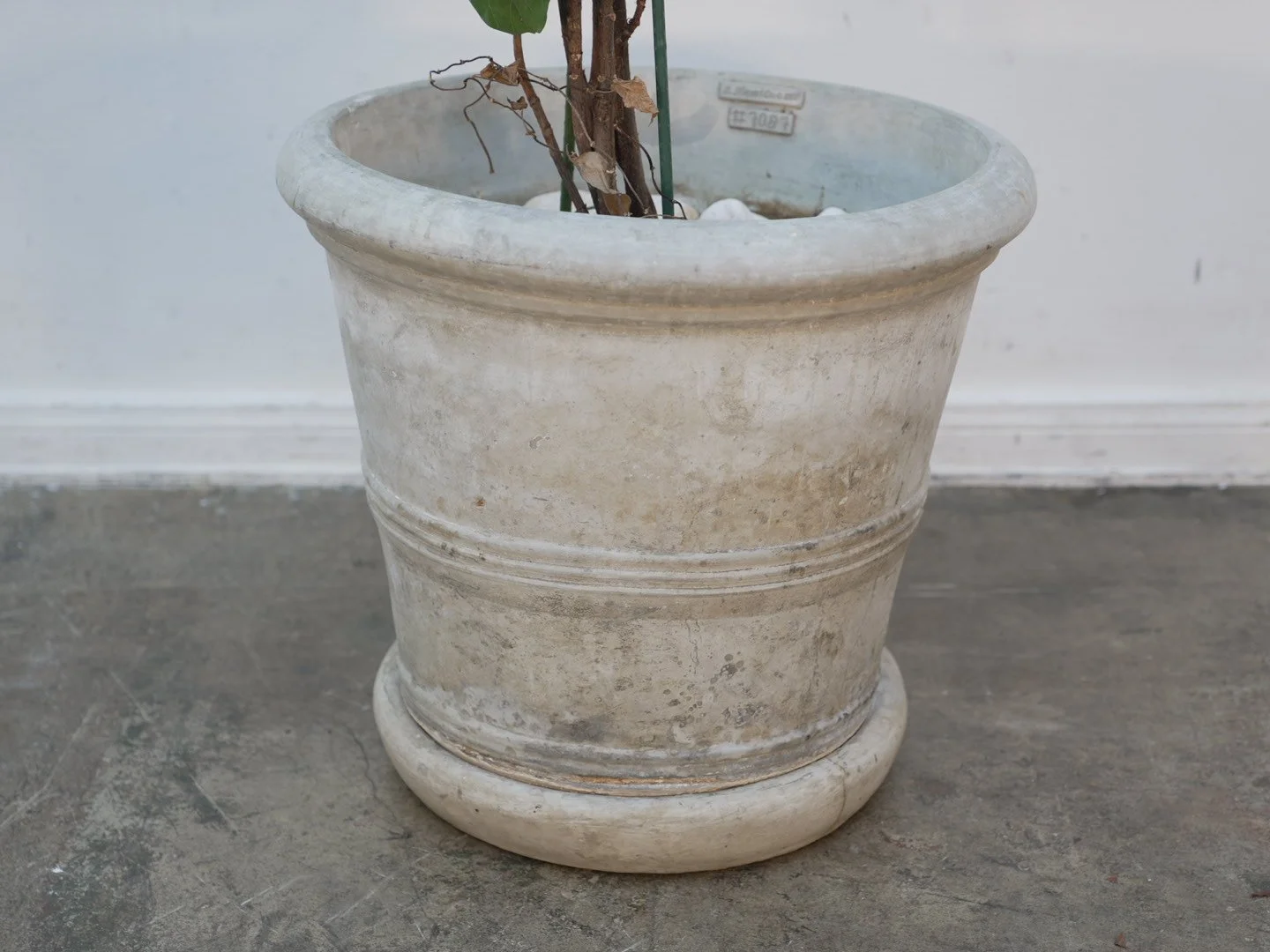 Photo Feb 06 2026, 5 44 01 PM.jpg