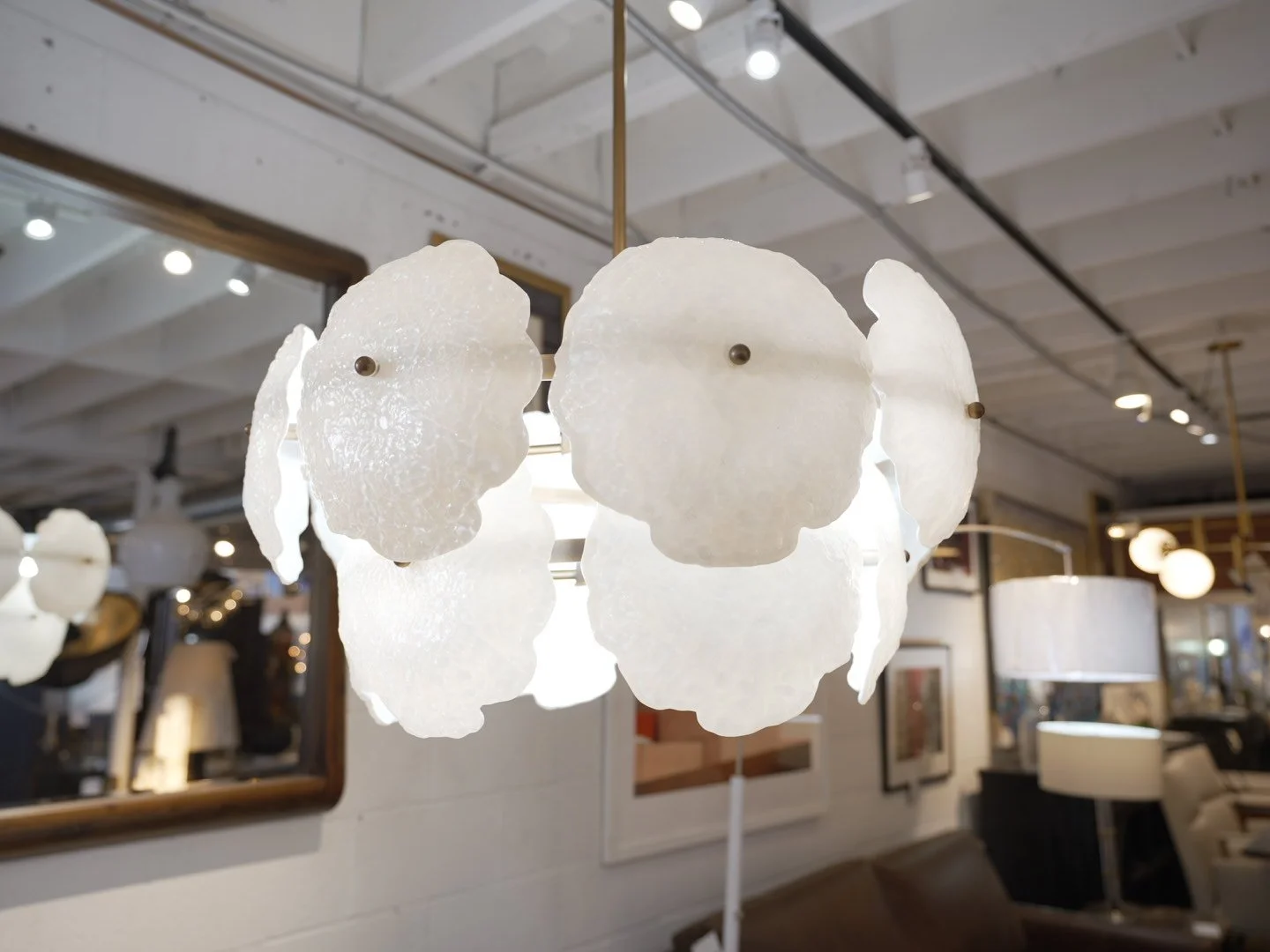 Photo Mar 13 2026, 11 18 14 AM.jpg