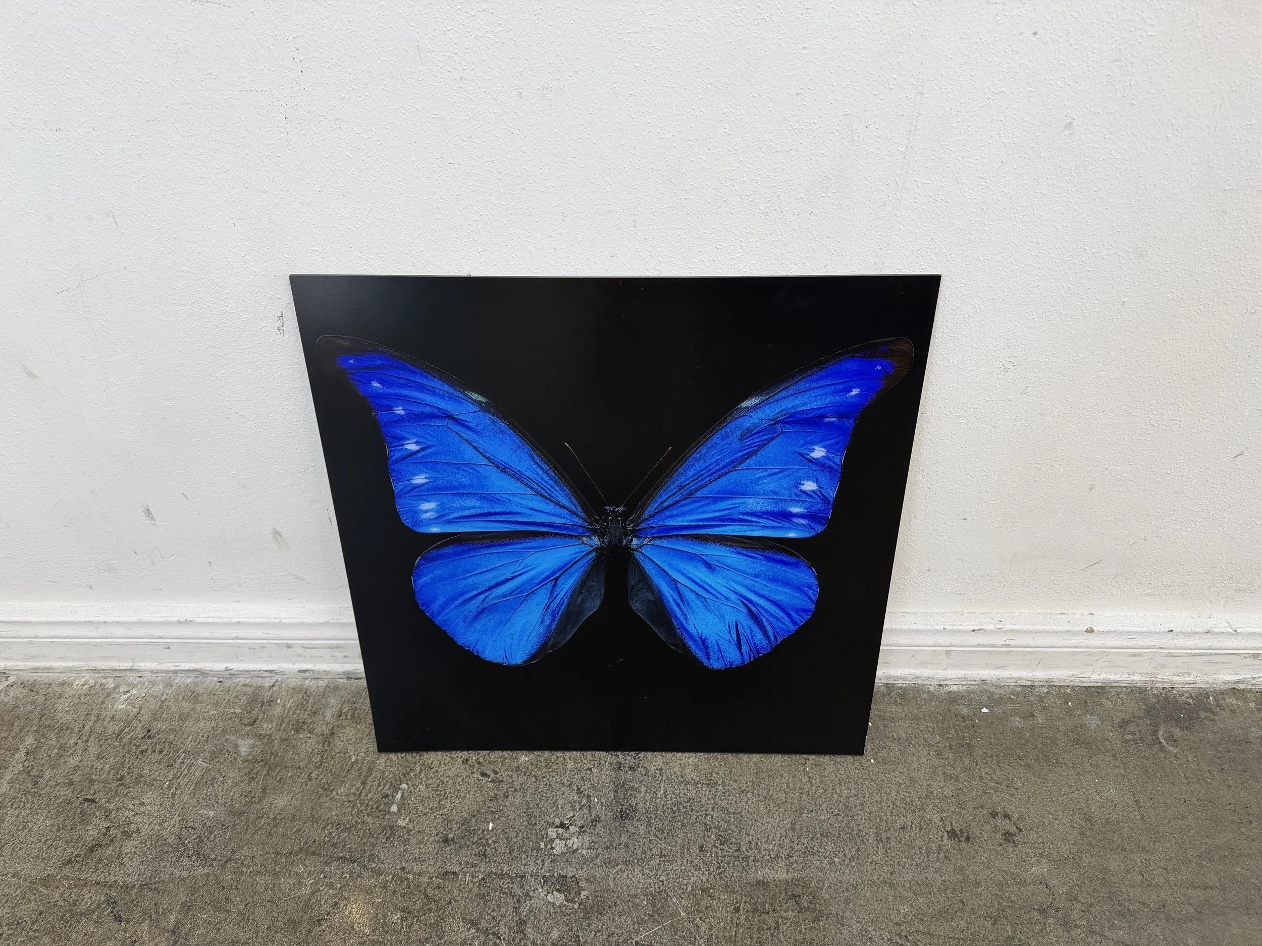 Photo Mar 28 2026, 12 10 13 PM.jpg