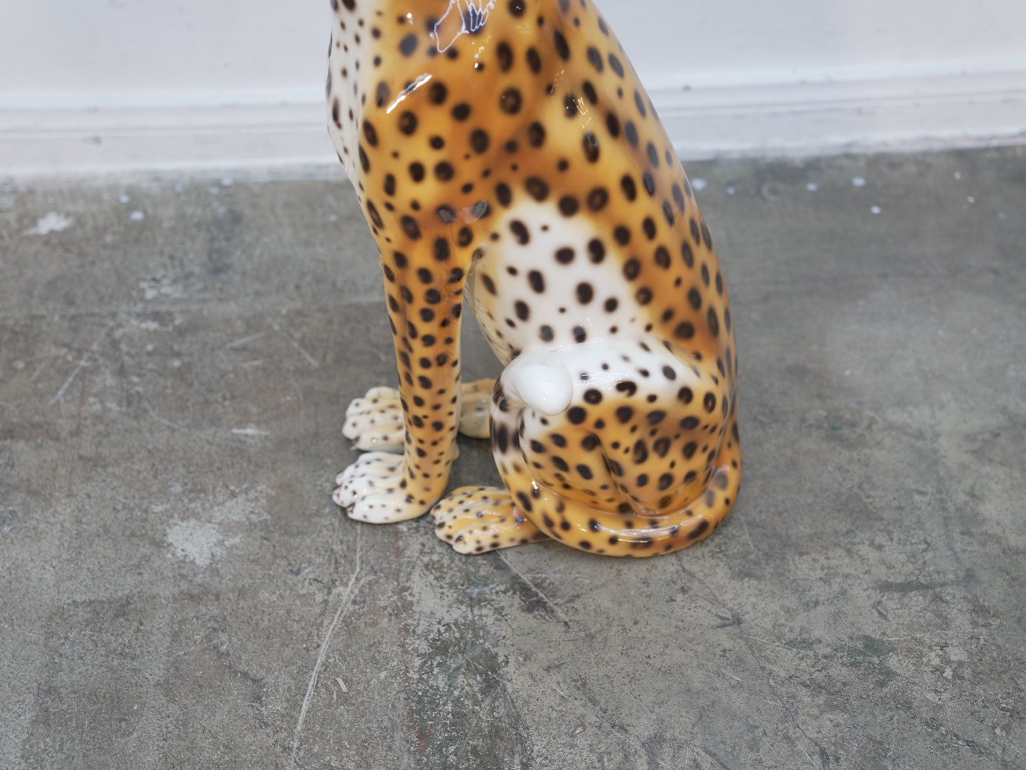 Photo Jan 31 2026, 6 08 11 PM.jpg