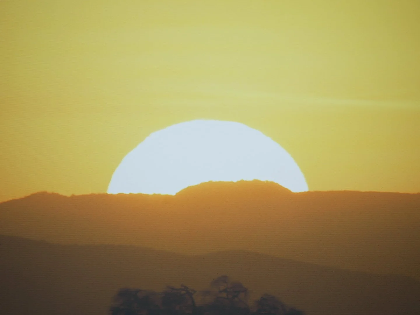 Photo Mar 26 2026, 1 16 25 PM.jpg