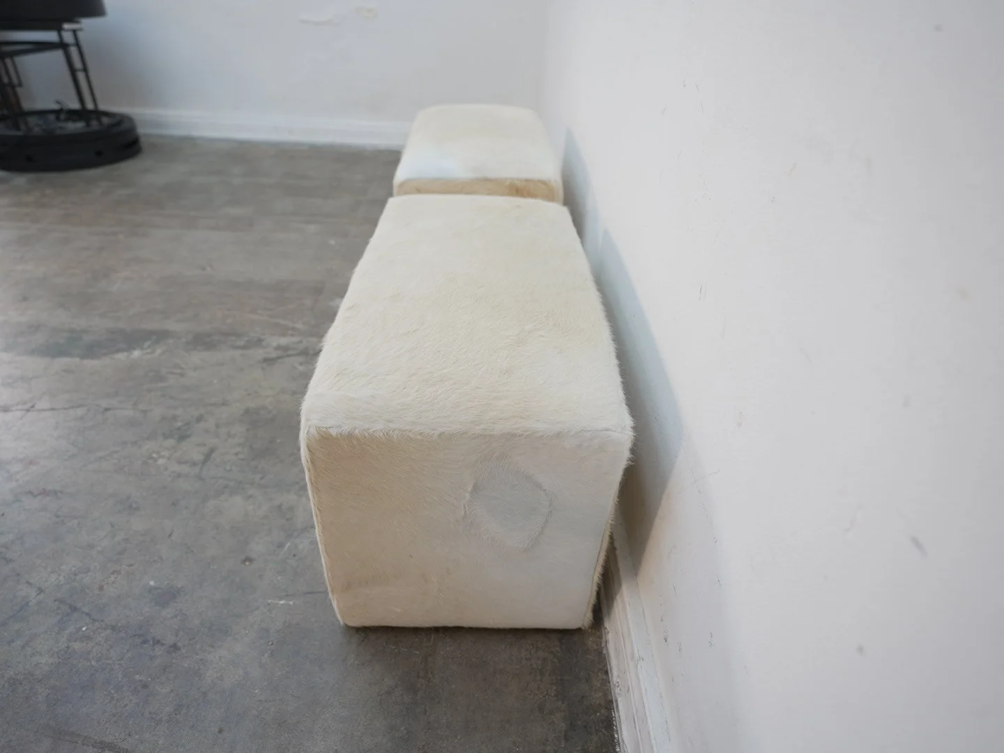 Photo Apr 21 2026, 1 36 26 PM.jpg