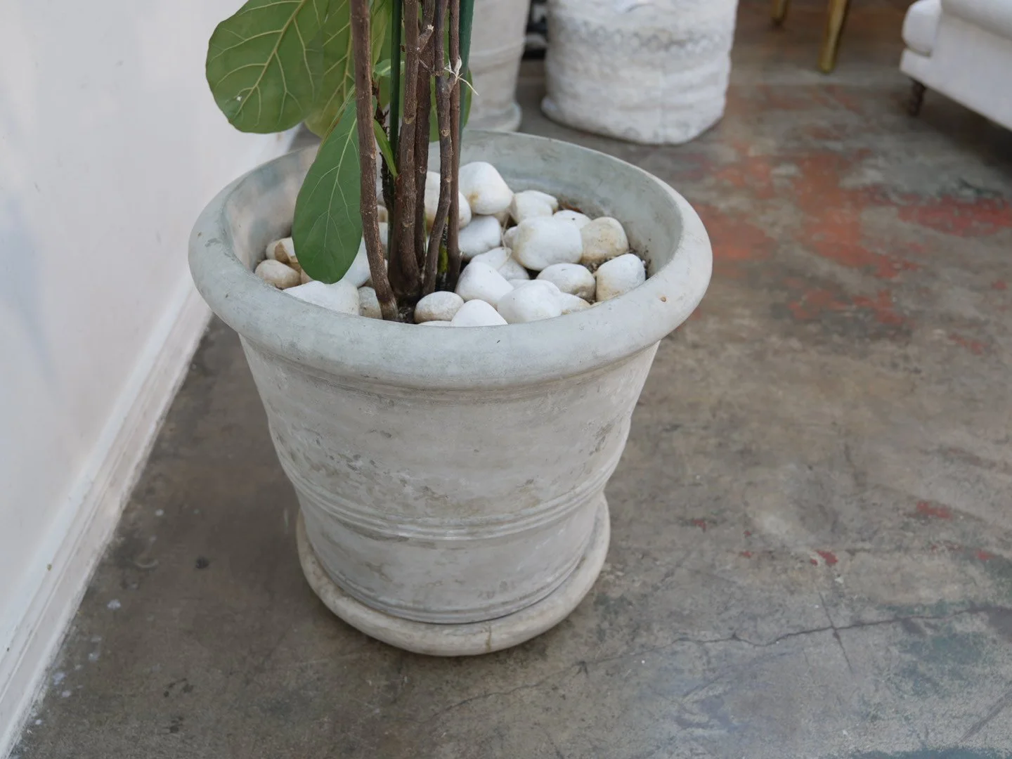 Photo Feb 06 2026, 5 40 00 PM.jpg