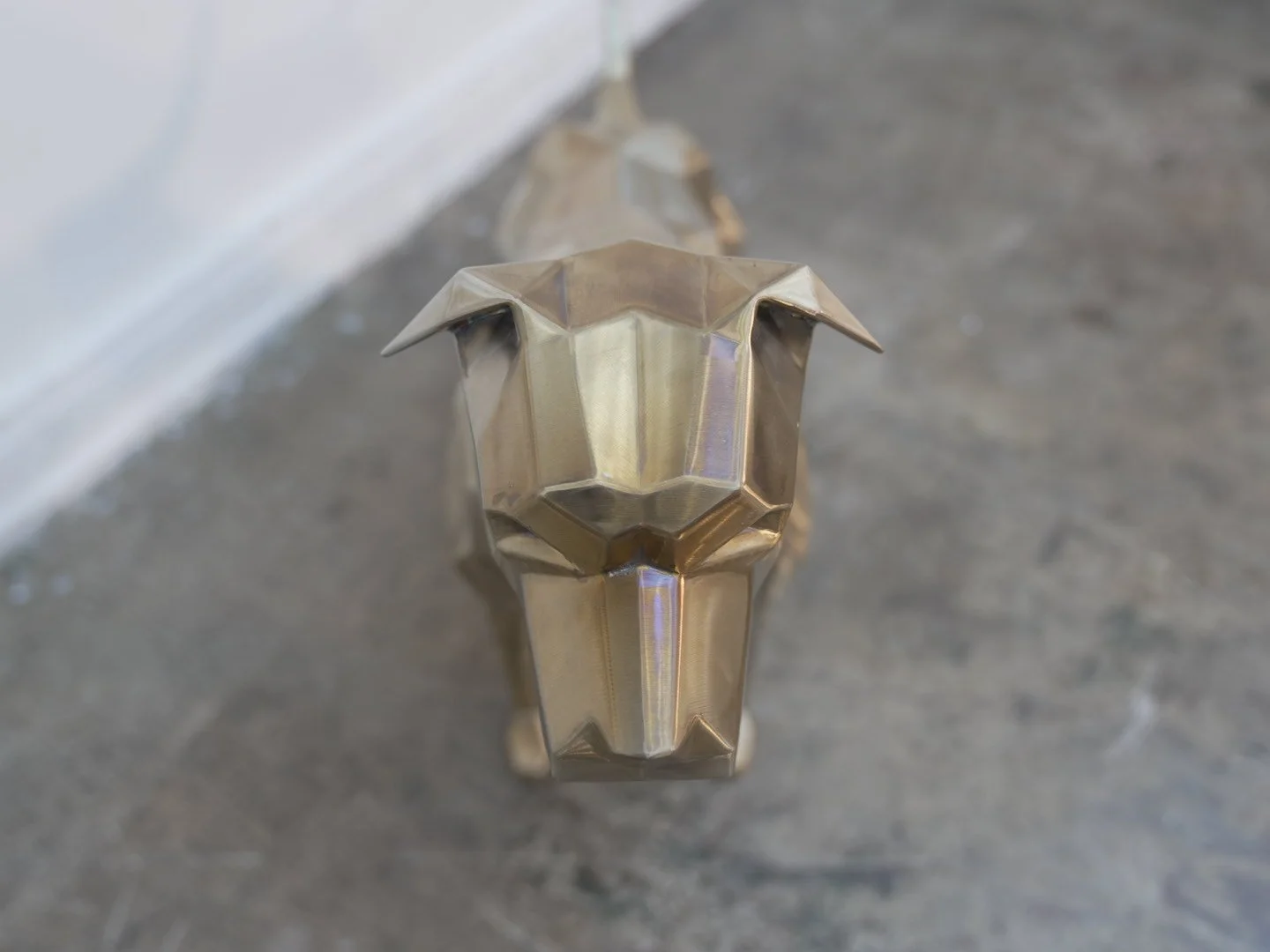 Photo Feb 08 2026, 11 57 40 AM.jpg