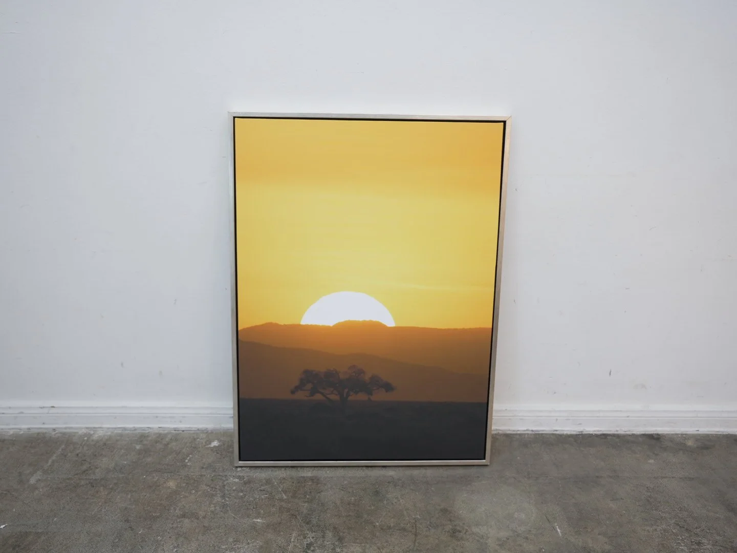 Photo Mar 26 2026, 1 15 42 PM.jpg