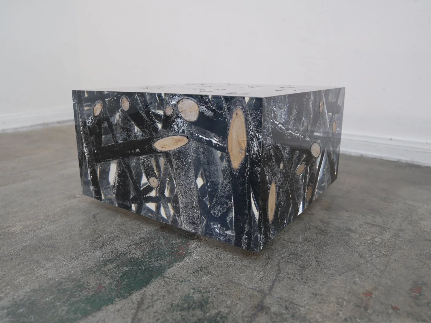 Photo Jan 30 2026, 2 22 31 PM.jpg