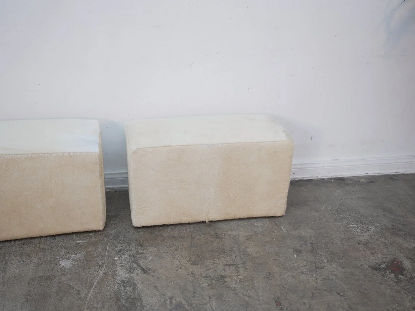 Photo Apr 21 2026, 1 35 23 PM.jpg