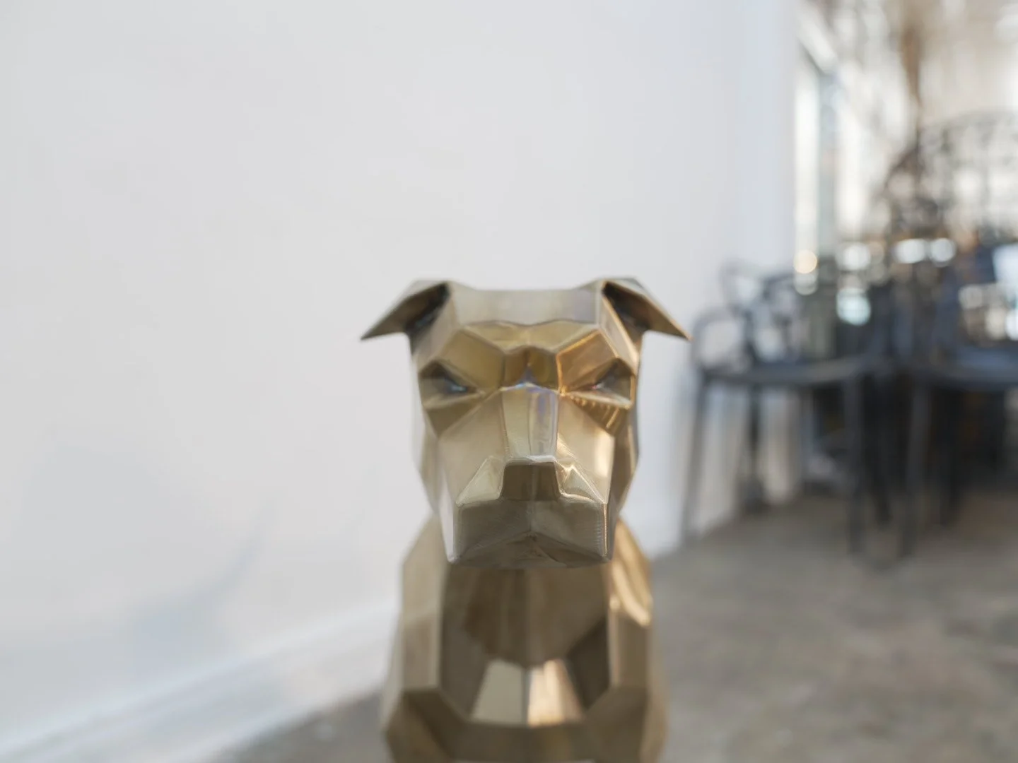 Photo Feb 08 2026, 11 57 55 AM.jpg