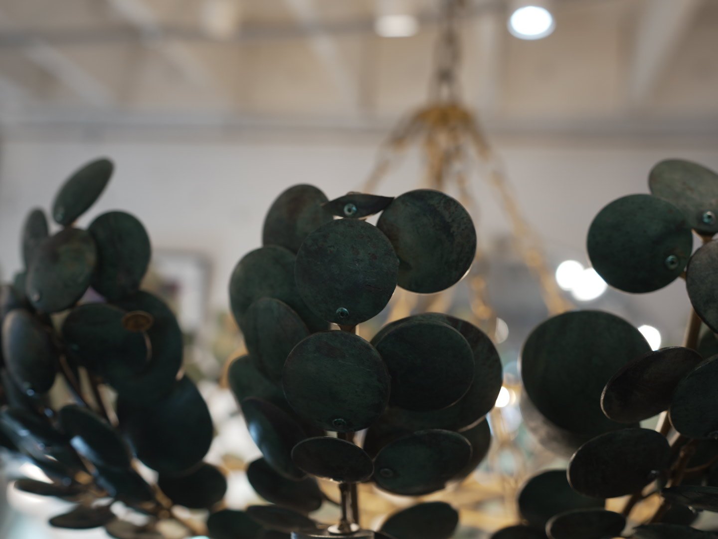 Photo Mar 28 2026, 1 59 40 PM.jpg