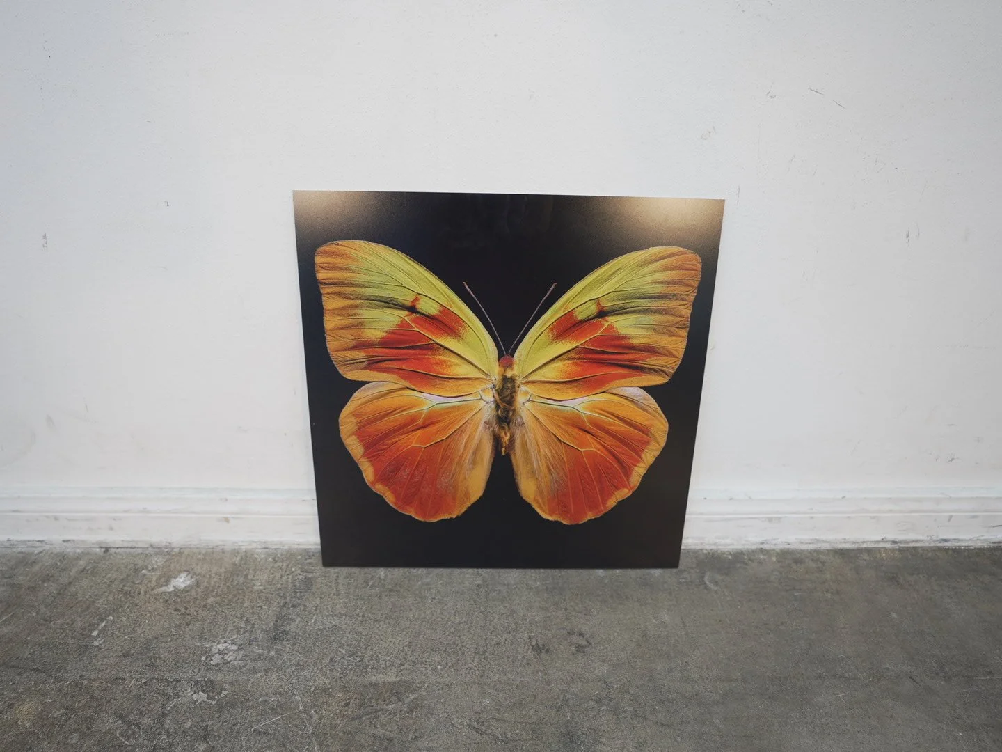 Photo Apr 23 2026, 12 40 09 PM.jpg