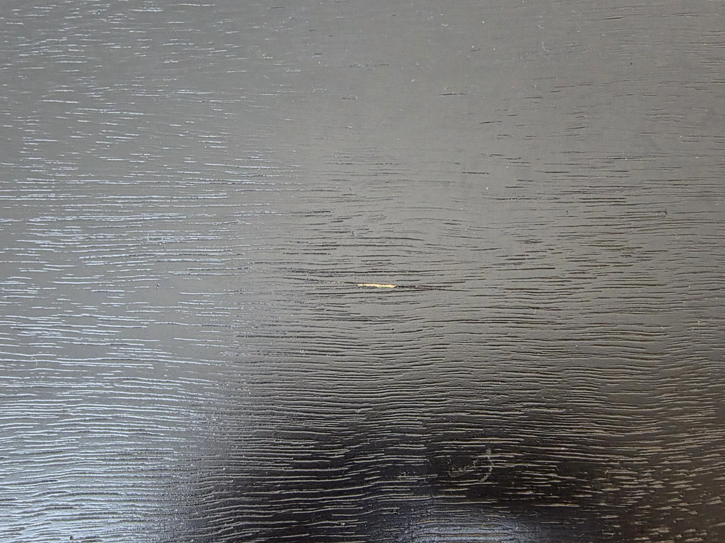 20260923_142601.jpg