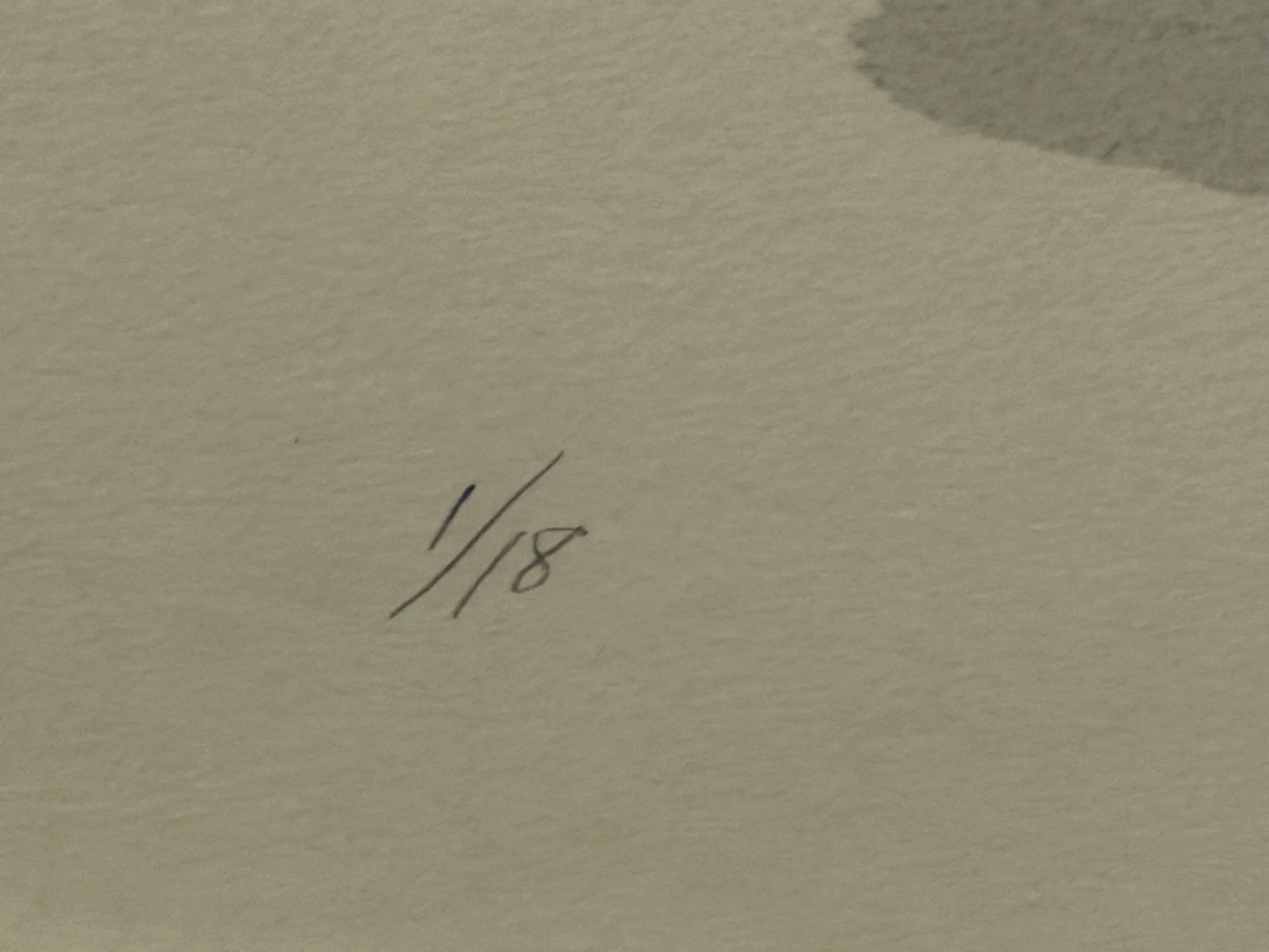 Photo Feb 28 2026, 10 47 00 AM.jpg