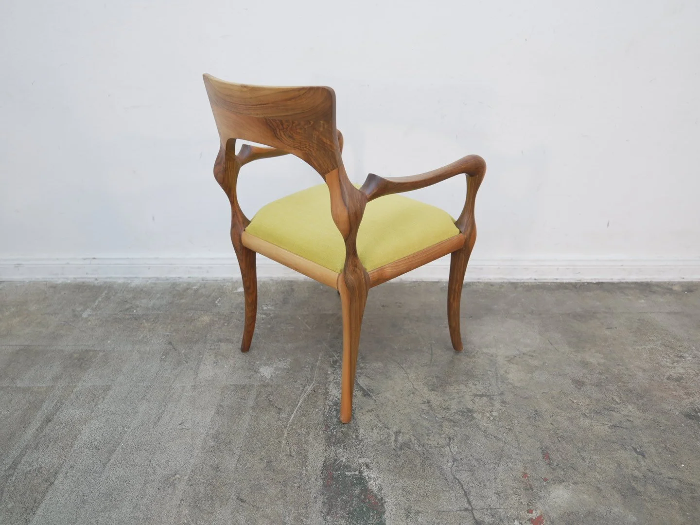 Photo Dec 23 2025, 12 46 09 PM.jpg