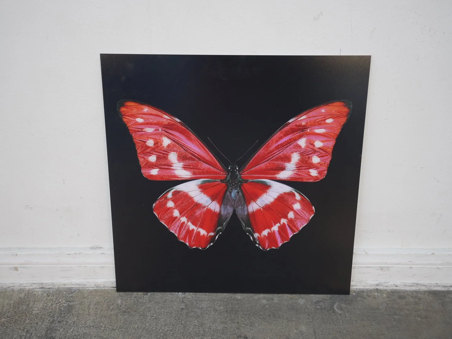 Photo Apr 23 2026, 12 36 53 PM.jpg