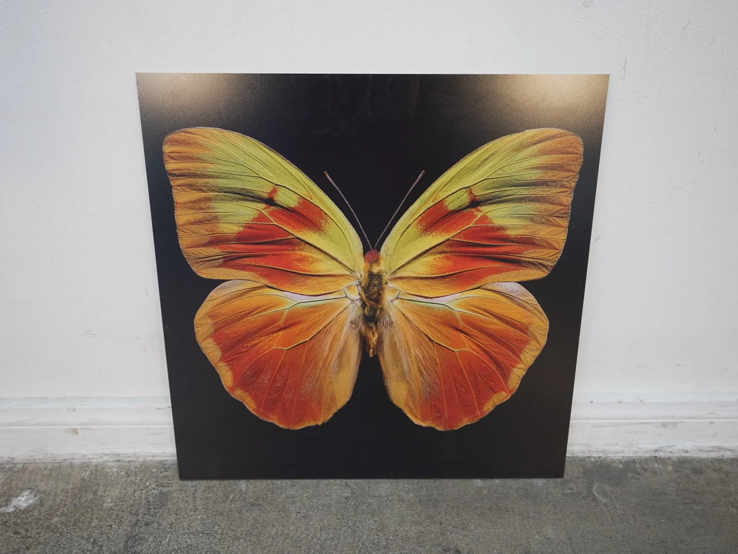 Photo Apr 23 2026, 12 40 20 PM.jpg