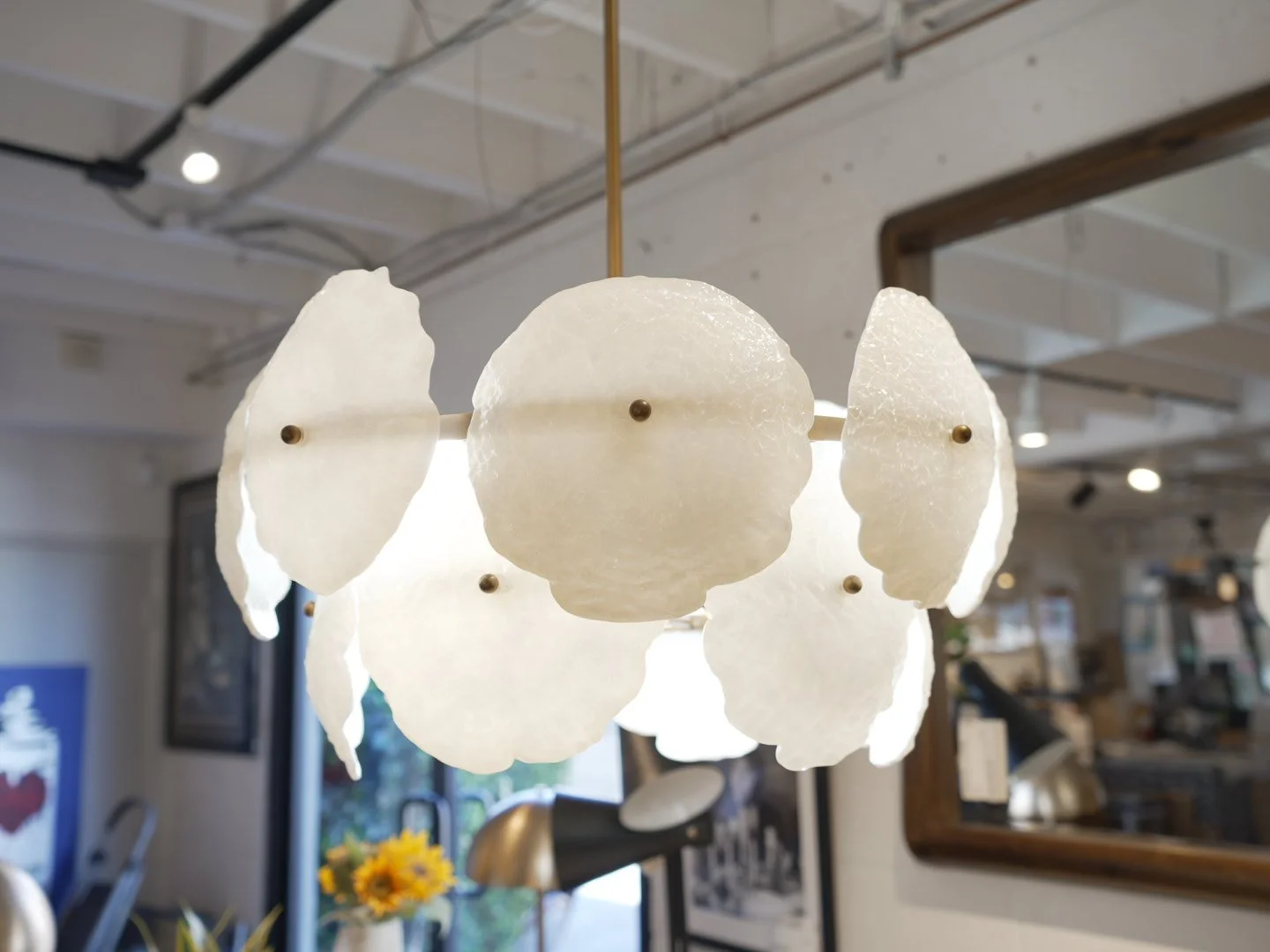 Photo Mar 13 2026, 11 18 04 AM.jpg