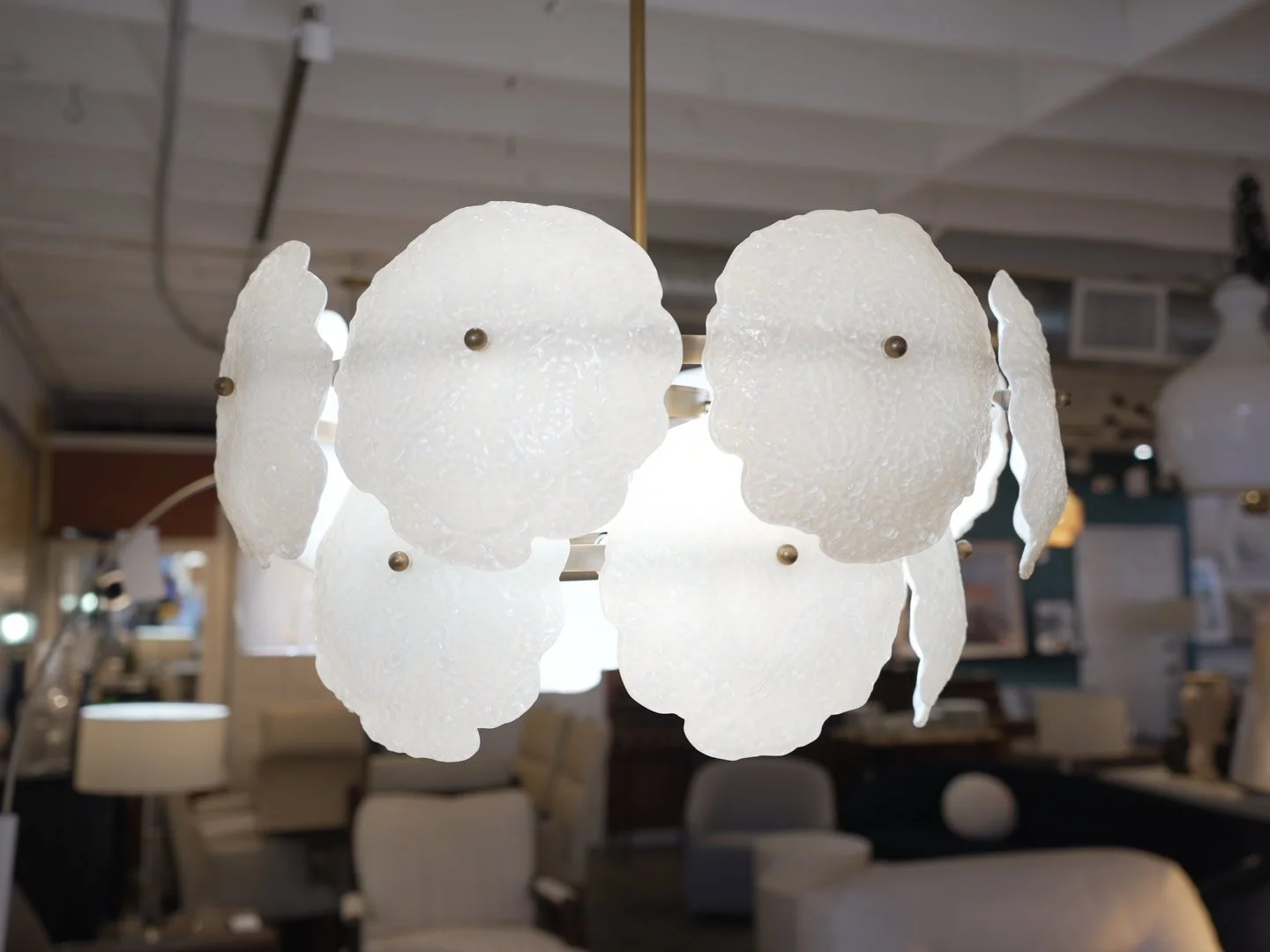 Photo Mar 13 2026, 11 18 51 AM.jpg