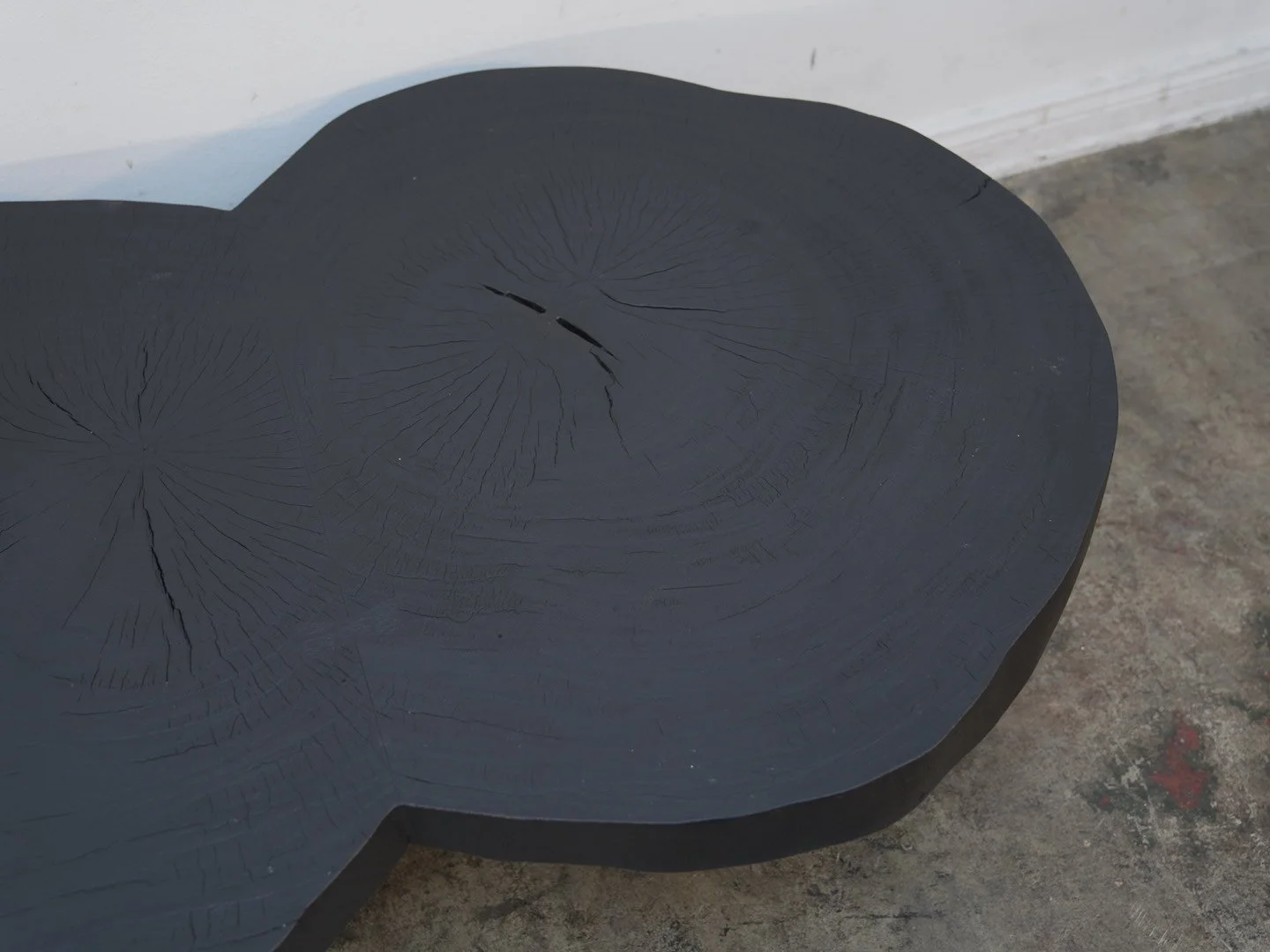 Photo Jan 09 2026, 4 03 03 PM.jpg