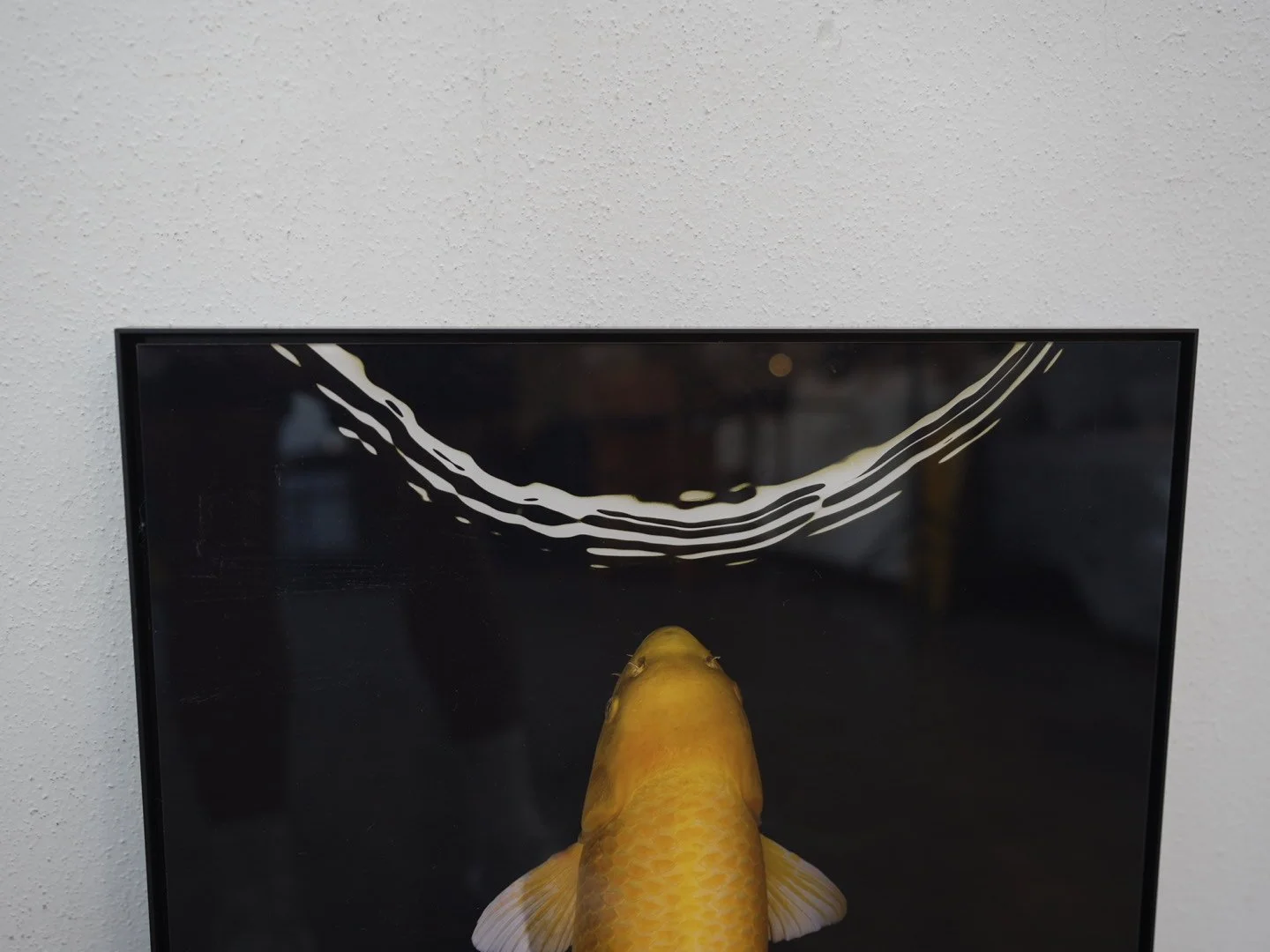 Photo Apr 23 2026, 4 34 45 PM.jpg