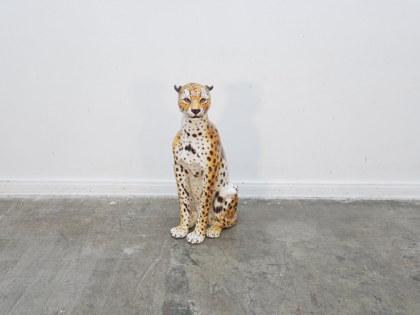 Photo Jan 31 2026, 6 06 45 PM.jpg