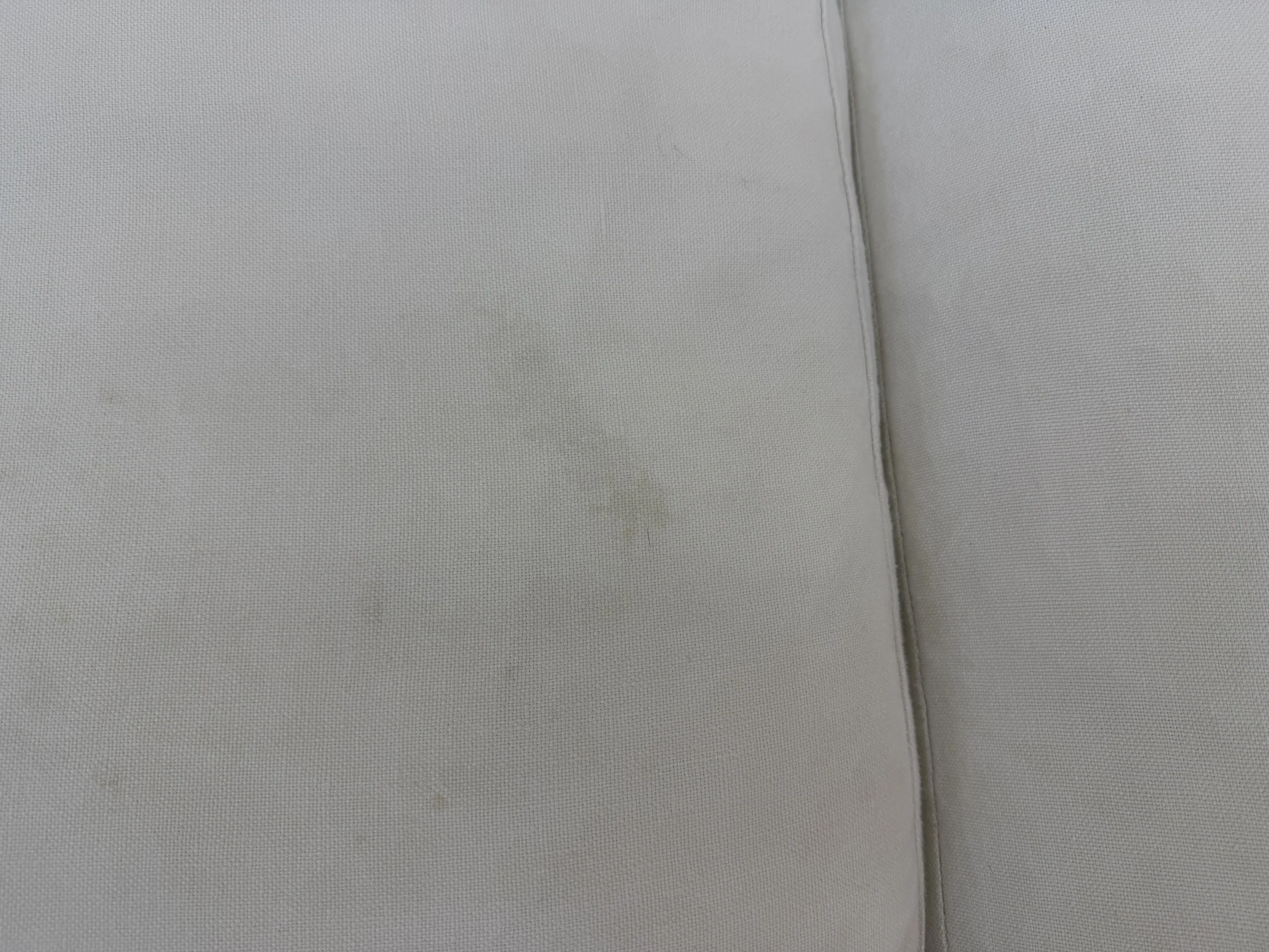 Photo Mar 17 2026, 10 57 35 AM.jpg