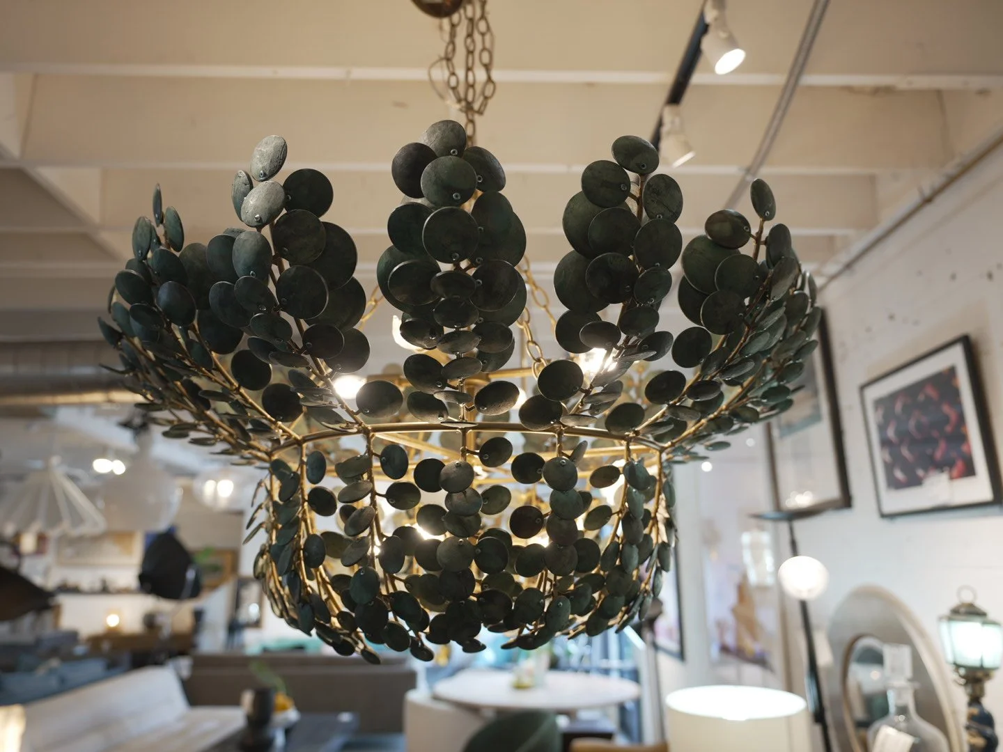 Photo Mar 28 2026, 1 59 16 PM.jpg