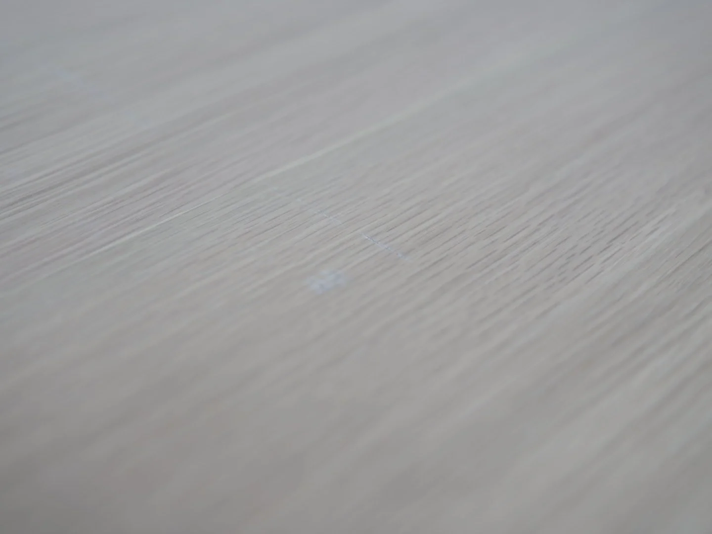 Photo Feb 12 2026, 3 45 29 PM.jpg