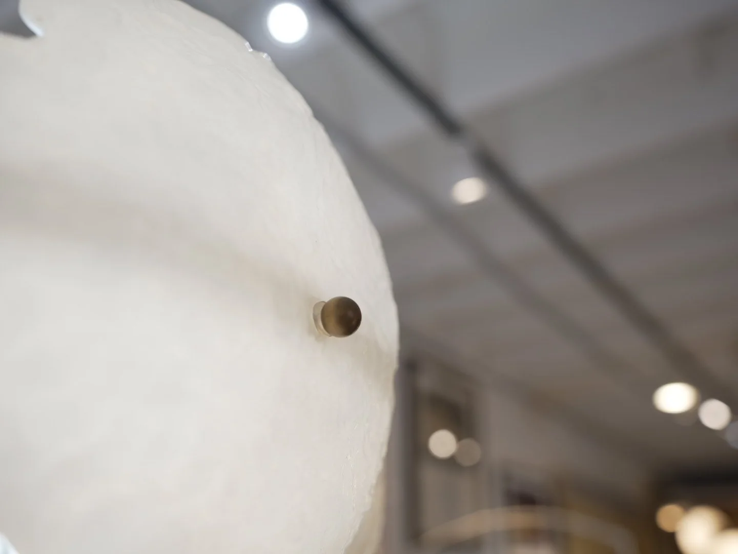 Photo Mar 13 2026, 11 19 06 AM.jpg