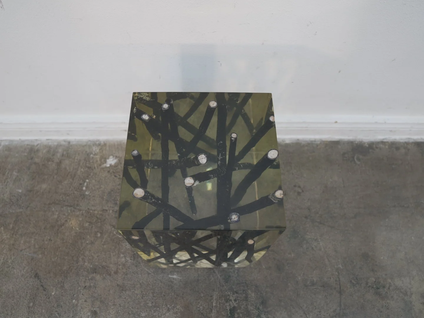 Photo Jan 30 2026, 2 31 33 PM.jpg