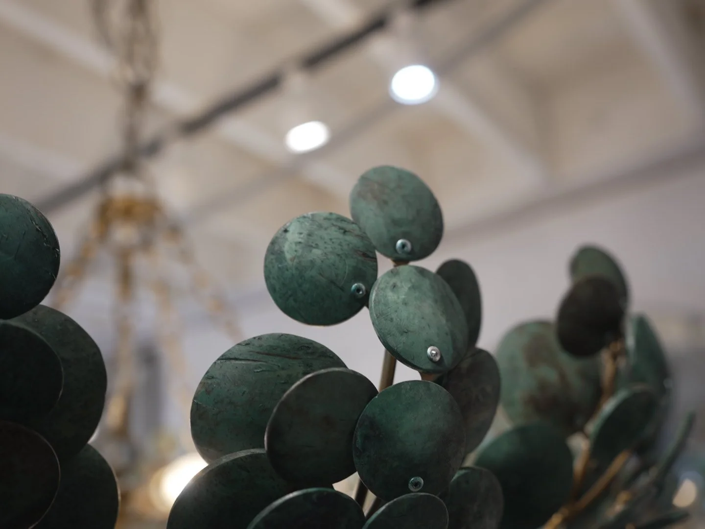 Photo Mar 28 2026, 1 59 24 PM.jpg